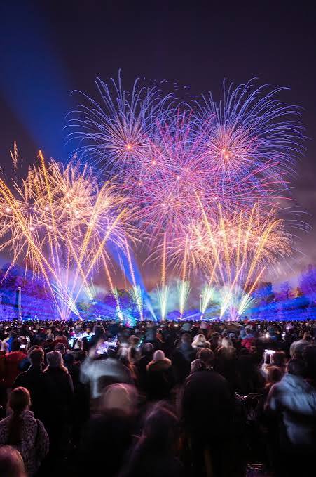 Battersea Fireworks with Friend of Dorothy